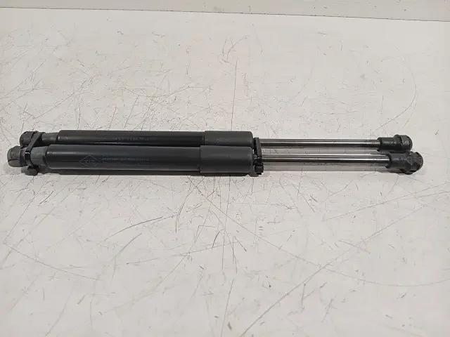 Népszerű Gasdrukveerset voor Renault Scénic