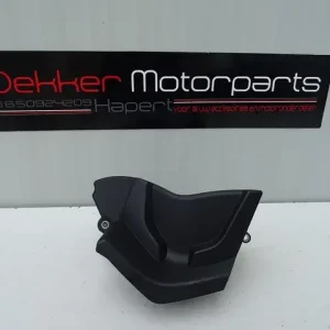 Vedd meg most Tandwielkap / Tandwiel cover Yamaha YZF R1 2007-2008 RN19