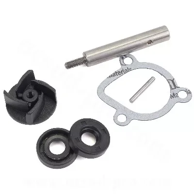 Vízpumpa DERBI 50 SENDA 1996-2005, GPR 1996-2005 / BULTACO 50 ASTRO, LOBITO 1999-2005 / GILERA 50 SMT, RCR 1999-2005 EURO 2 Ingyenes szállítás